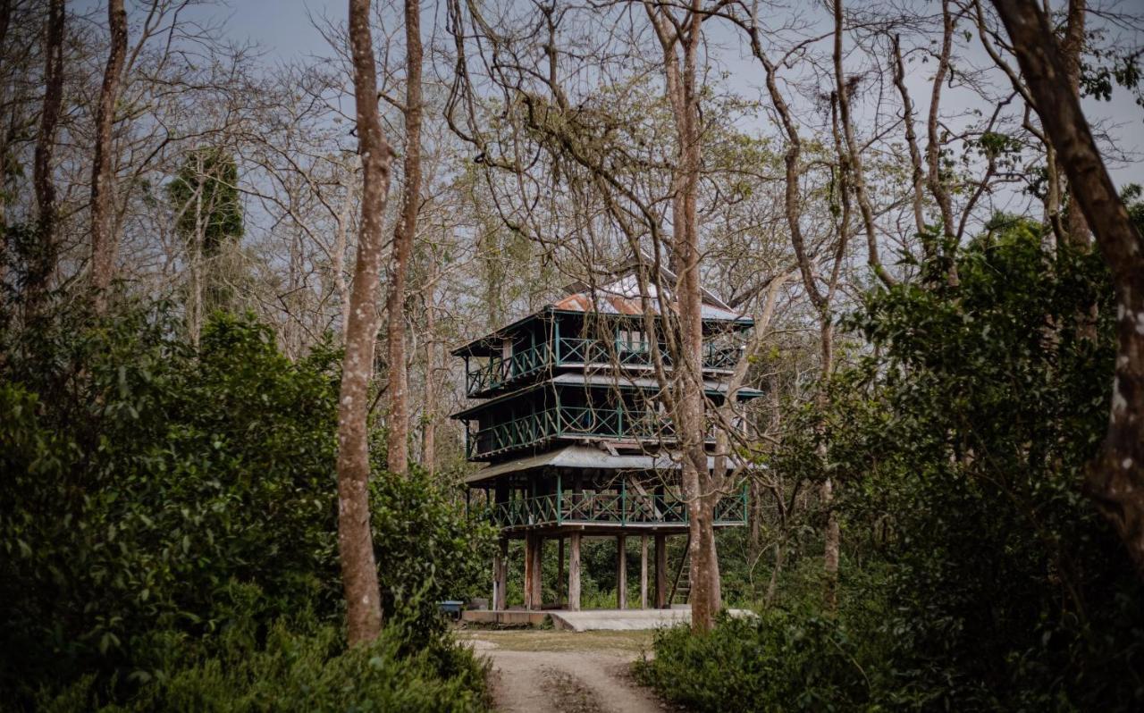 Hotel Tharu Garden, Sauraha Luaran gambar